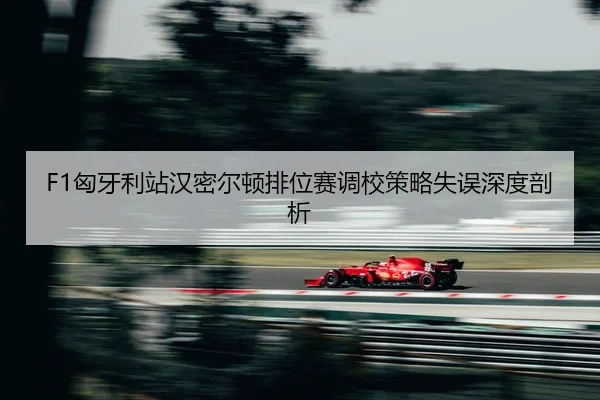 xiong-ya-li-zhan-han-mi-er-dun-pai-wei-sai-diao-xiao-ce-lve-shi-wu-shen-du-pou-xi-2-443.jpg