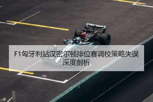 xiong-ya-li-zhan-han-mi-er-dun-pai-wei-sai-diao-xiao-ce-lve-shi-wu-shen-du-pou-xi-3-511.jpg