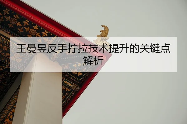 wang-man-yu-fan-shou-ning-la-ji-shu-ti-sheng-de-guan-jian-dian-jie-xi-3-122.jpg