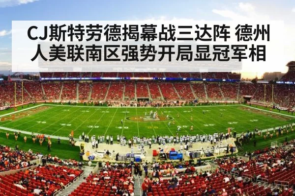 nfl stadium crowd night game